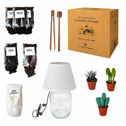 Terrarium-Lamparium-Set Medium mit Sukkulenten