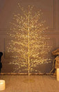 Champagne White Lime Tree decorative with warm white microLED light effect