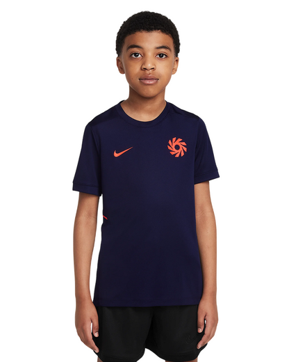 Nike Haaland Academy Maglia Calcio Junior Blu Dri-FIT HV0229-498