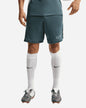 Nike Academy Men's Shorts Green - IF1448-382