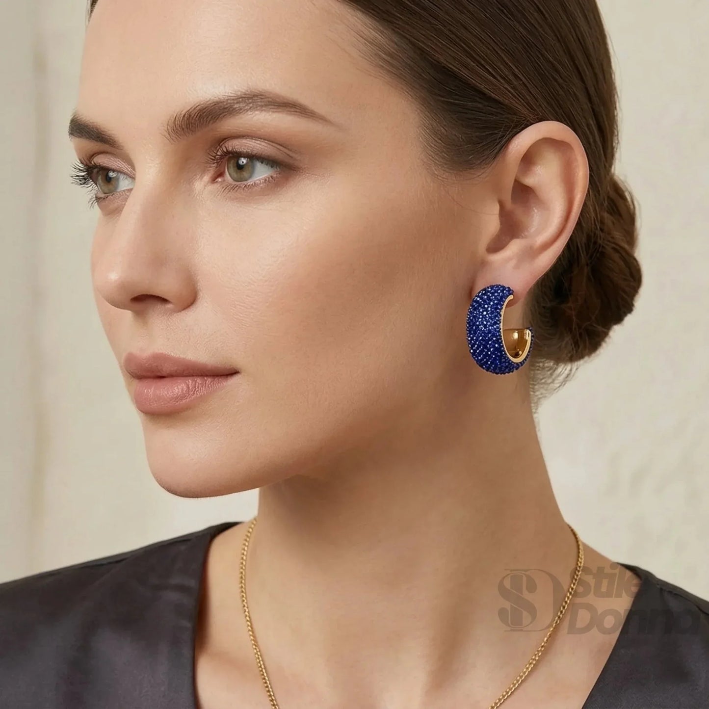 Stile Donna Bags - Orecchini a Cerchio con Pavé Blu
