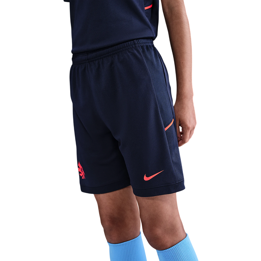 Pantaloncini Nike Erling Haaland Academy HV0213-498 Blu Junior