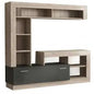Living Room Wall Unit Leonard Anthracite and Elm, 170 x 42 x 170 cm h