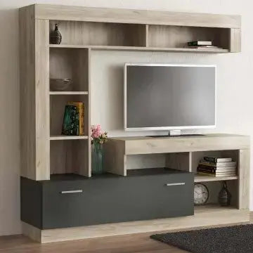 Wohnzimmerwand Leonard Anthrazit und Ulme, 170 x 42 x 170 cm (H)