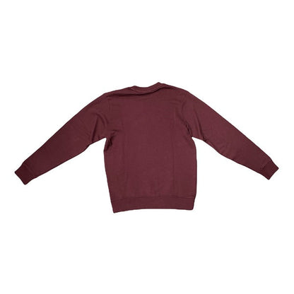 Dickies felpa Byronville Men’s Relaxed Fit DK0A4TMMEL01 maroon