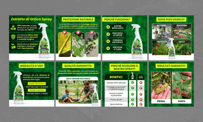 Insetticida Naturale per Piante 750 ml - A Base di Estratto Biologico di Ortica - Efficace Contro Cocciniglia, Afidi, Ragnetto Rosso e Pidocchi - Spray