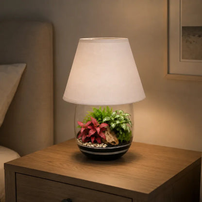 Kit Terrarium Lamparium Medio con piante verdi