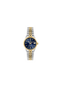 Philip Watch Caribe Women's Quartz – Timeless sophistication R8253597661