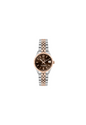 Philip Watch Caribe Women's Brown – Swiss Made with Date R8253597660