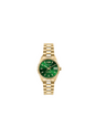 Philip Watch Caribe Gold Women – Green elegance R8253597591