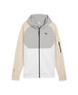 Puma Felpa Uomo con Cappuccio Grigio - 688045-87
