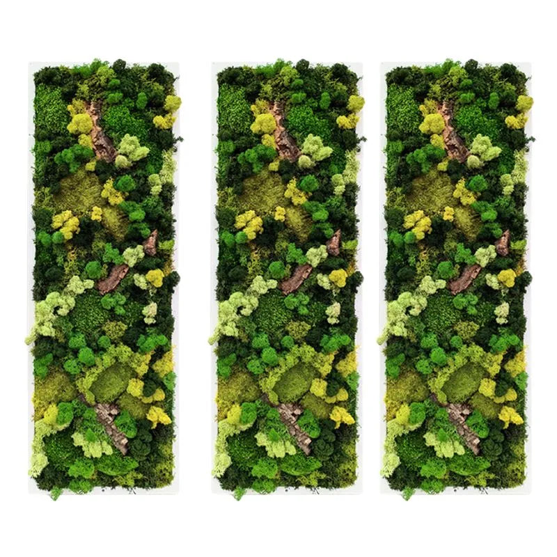 Quadro Rettangolare Muschio e Licheni Stabilizzati con Sughero – 90x30 cm | Cornice Bianca o Nera