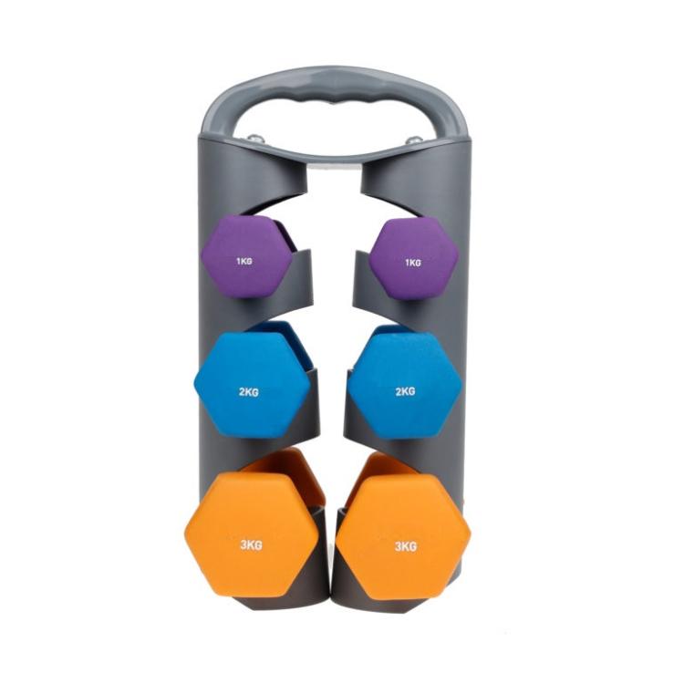 Set Tragbarer Ausstellungsständer + Paar Hanteln Fitnessgewichte 1kg+2kg+3kg
