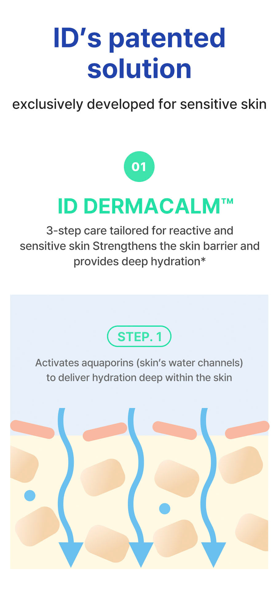 idPLACOSMETICS REAL AFTER CARE CREME