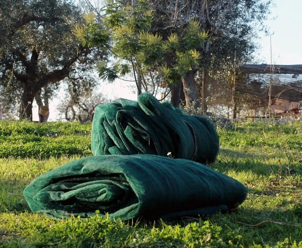 Rete antispina olive occhiellata