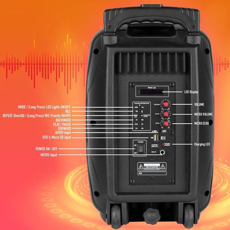 Ngs Speaker Wild Samba Portatile Bt + Mic Wiederaufladbar 30W Bluetooth Lautsprecher
