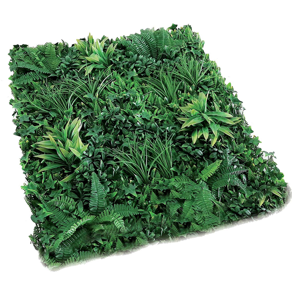 Sempreverde siepe Jungle Giungla verde cm 100x100