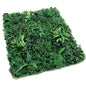 Sempreverde siepe Jungle Giungla verde cm 100x100