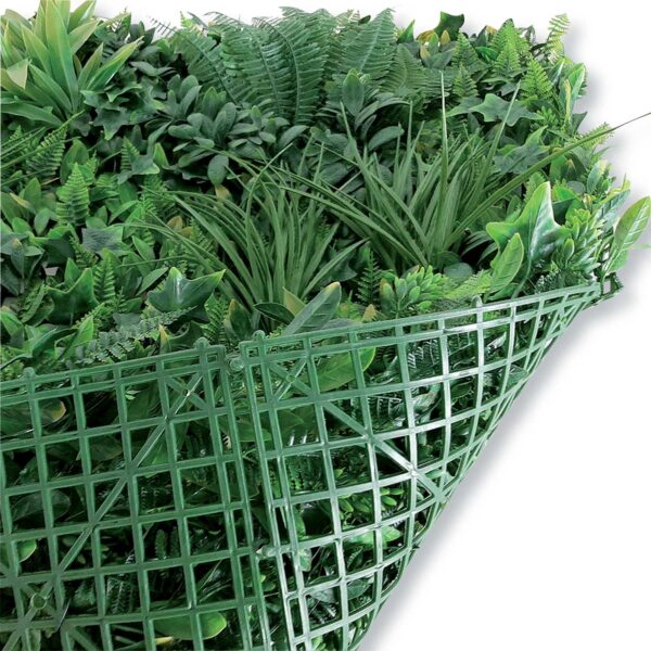 Sempreverde siepe Jungle Giungla verde cm 100x100