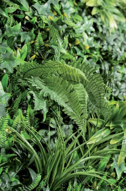 Sempreverde siepe Jungle Giungla verde cm 100x100