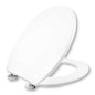 Universal thermosetting toilet seat with soft close and quick release