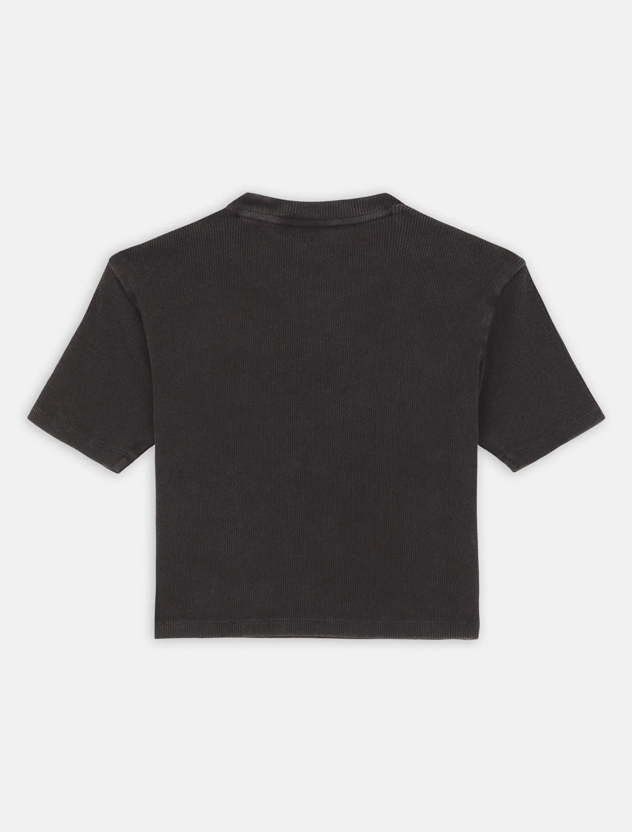 Dickies T-shirt a Costine da Donna Plentywood DK0A866FBLK1 Nero