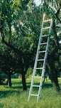 Single aluminum ladder gr.12 mt.3,40