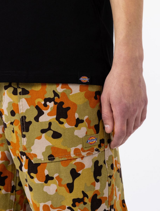 Dickies maglietta maniche corte da uomo Artondale Box DK0A4XNYBLK nero