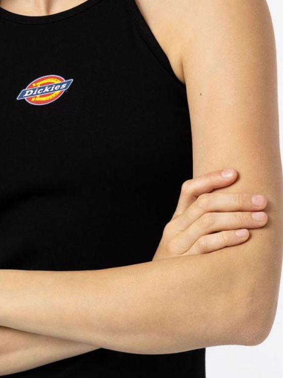 Dickies Vestito Chain Lake DK0A4XMC black