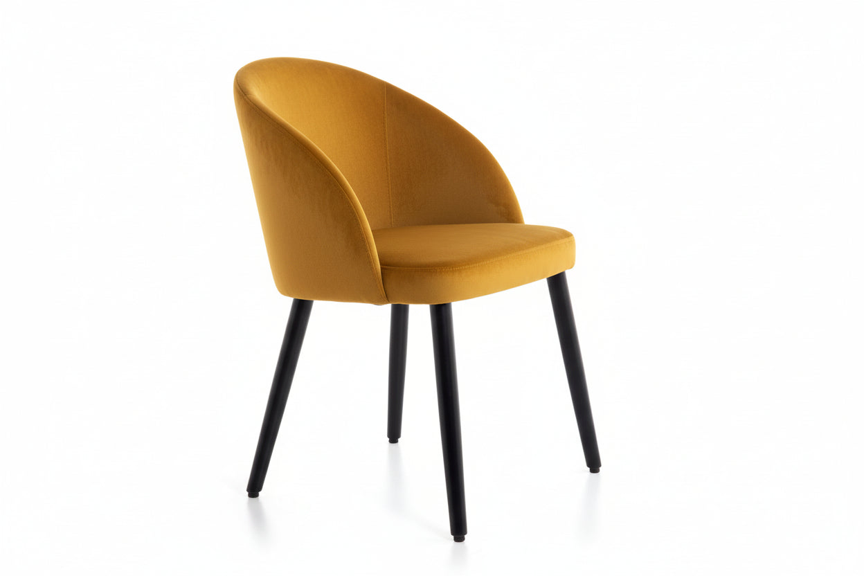 Sedie imbottita - Design
