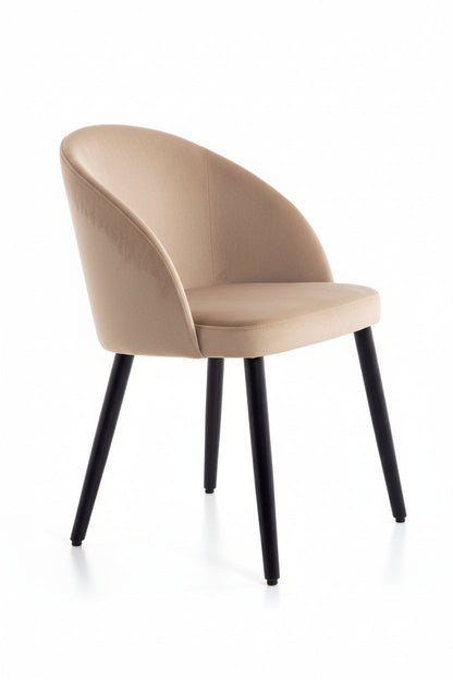 Sedie imbottita - Design