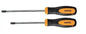 Set 2 cacciaviti torx crv