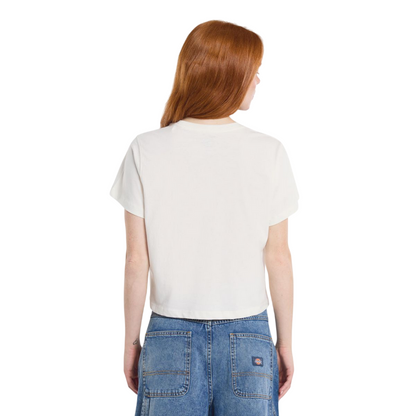 Dickies maglietta manica corta da donna Aitkin DK0A4YS8C481 beige