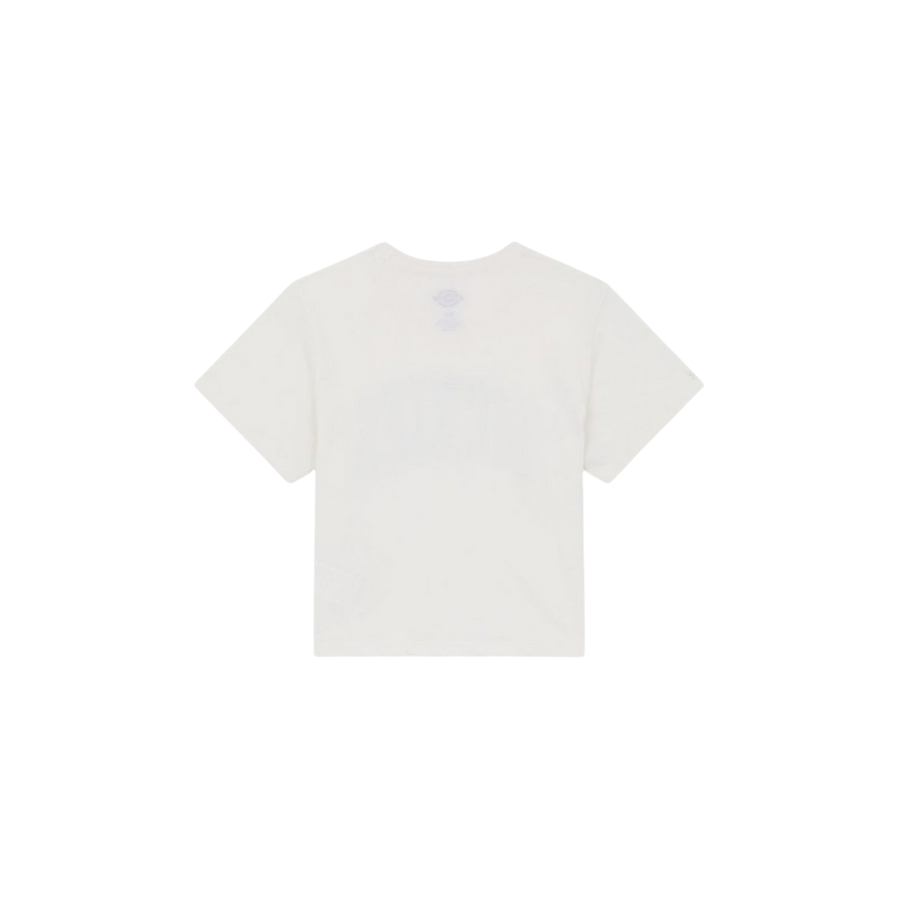Dickies maglietta manica corta da donna Aitkin DK0A4YS8C481 beige