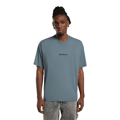 Dickies maglietta manica corta da uomo Enterprise DK0A4YRNG701 nuvole grigie