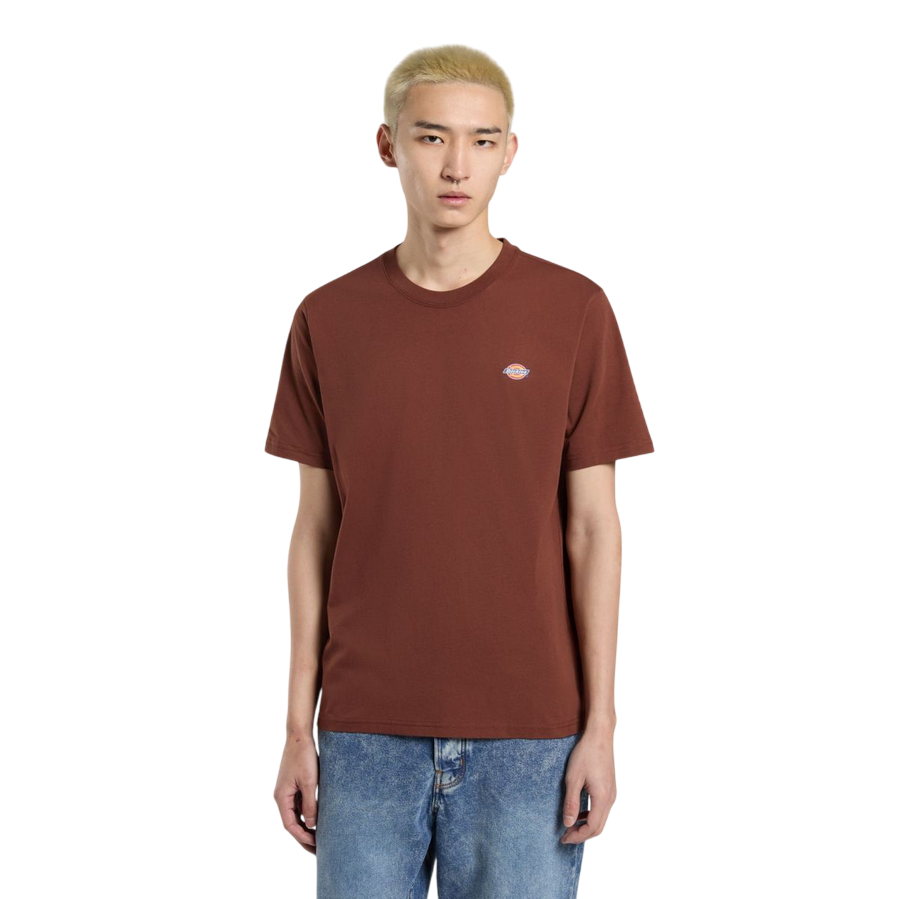 Dickies maglietta manica corta da uomo Mapleton DK0A4XDBK471 cappuccino