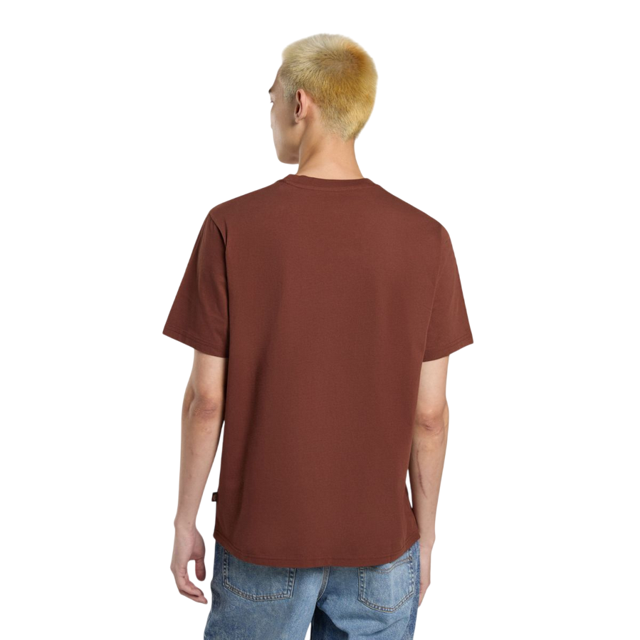Dickies maglietta manica corta da uomo Mapleton DK0A4XDBK471 cappuccino