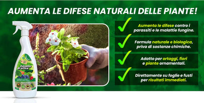 Insetticida Naturale per Piante 750 ml - A Base di Estratto Biologico di Ortica - Efficace Contro Cocciniglia, Afidi, Ragnetto Rosso e Pidocchi - Spray