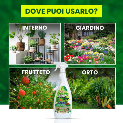 Insetticida Naturale per Piante 750 ml - A Base di Estratto Biologico di Ortica - Efficace Contro Cocciniglia, Afidi, Ragnetto Rosso e Pidocchi - Spray