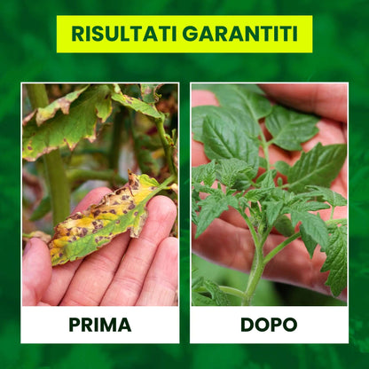 Insetticida Naturale per Piante 750 ml - A Base di Estratto Biologico di Ortica - Efficace Contro Cocciniglia, Afidi, Ragnetto Rosso e Pidocchi - Spray