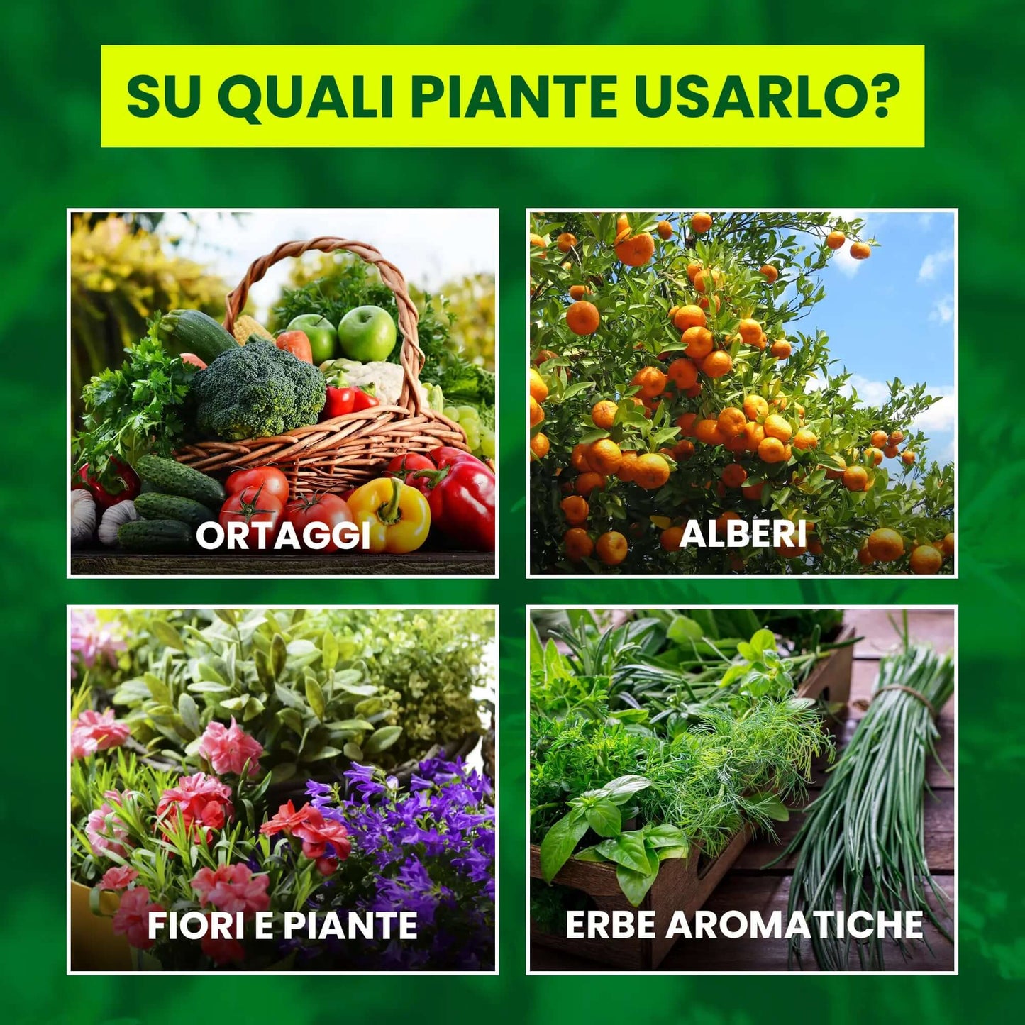 Insetticida Naturale per Piante 750 ml - A Base di Estratto Biologico di Ortica - Efficace Contro Cocciniglia, Afidi, Ragnetto Rosso e Pidocchi - Spray