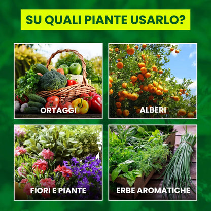 Insetticida Naturale per Piante 750 ml - A Base di Estratto Biologico di Ortica - Efficace Contro Cocciniglia, Afidi, Ragnetto Rosso e Pidocchi - Spray
