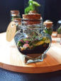 Terrarium CUORE chiuso H8cm