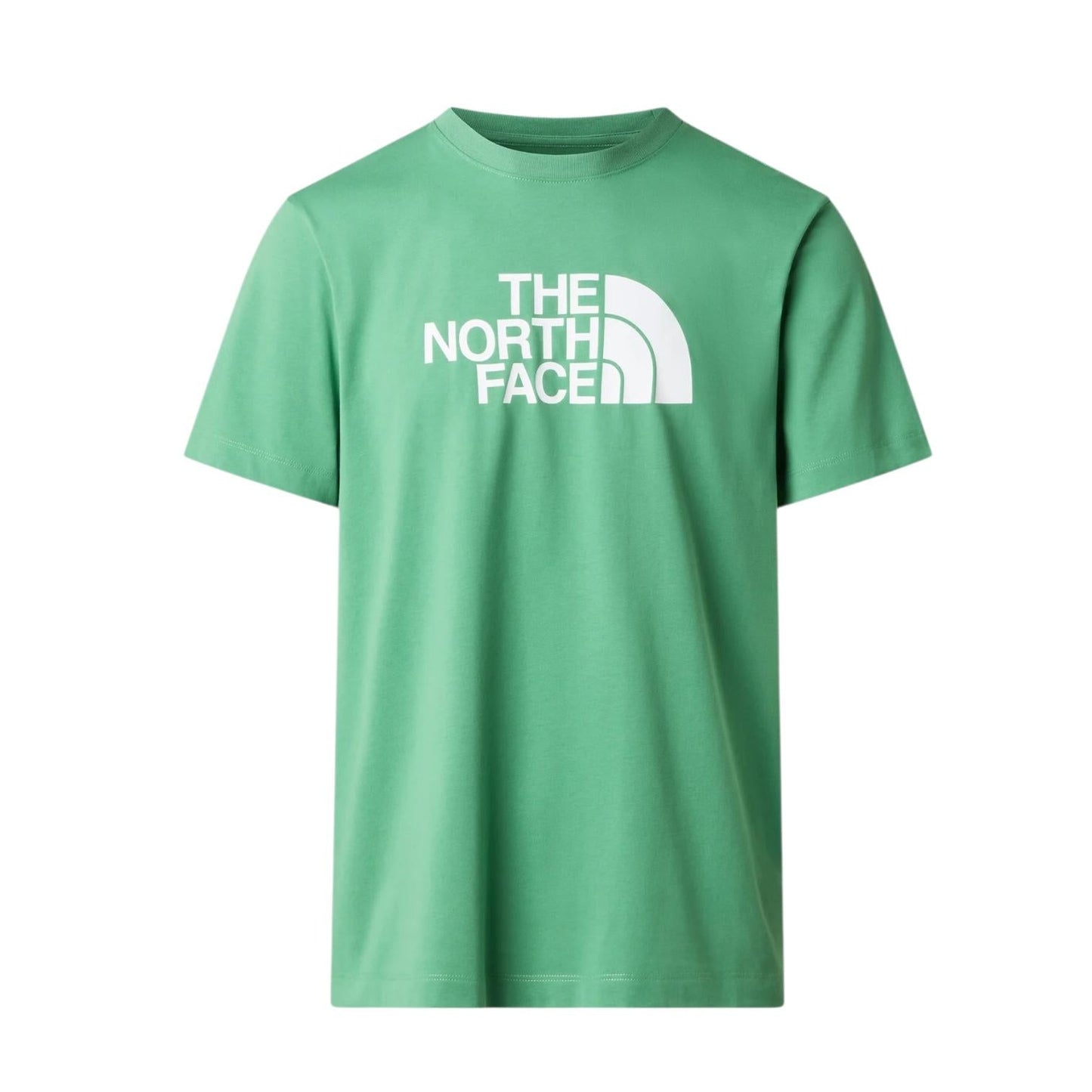 The North Face T-shirt Evolution Half Dome NF0A8B6JG57 Verde Uomo