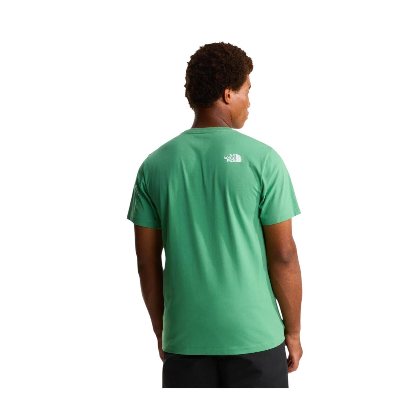 The North Face T-shirt Evolution Half Dome NF0A8B6JG57 Verde Uomo