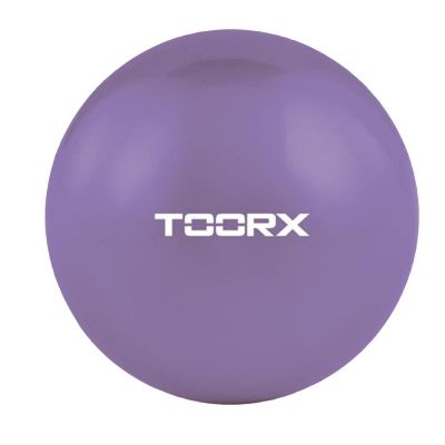 Toorx Sfera tonificante appesantita 1.5 kg AHF 066 viola