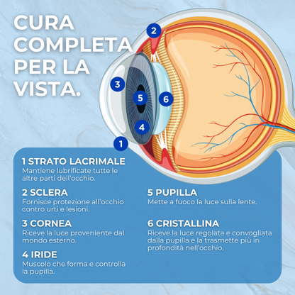 Integratore per la Vista con Luteina, Zinco e Vitamina C – Licopene da Pomodoro Camone e Mirtillo Nero – 60 Compresse