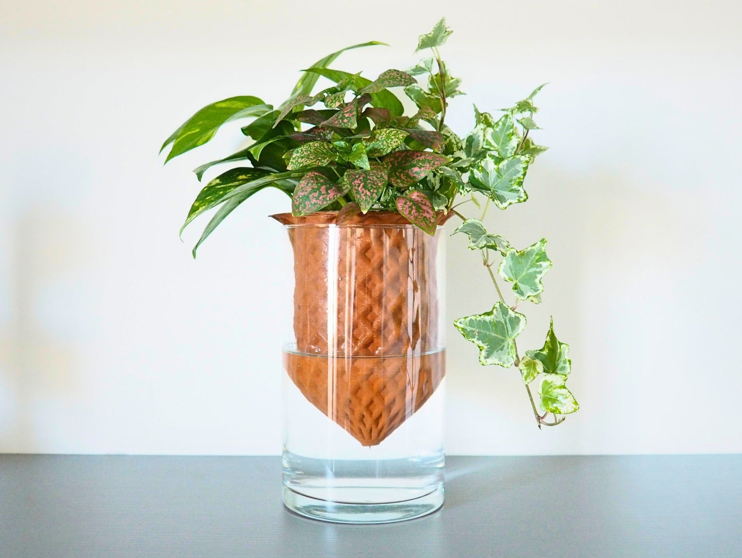 Vaso Darcy 3D L