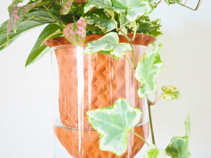 Vaso Darcy 3D L