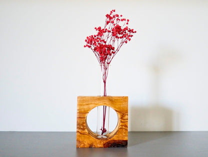 Vaso Propagatore Frame Circle
